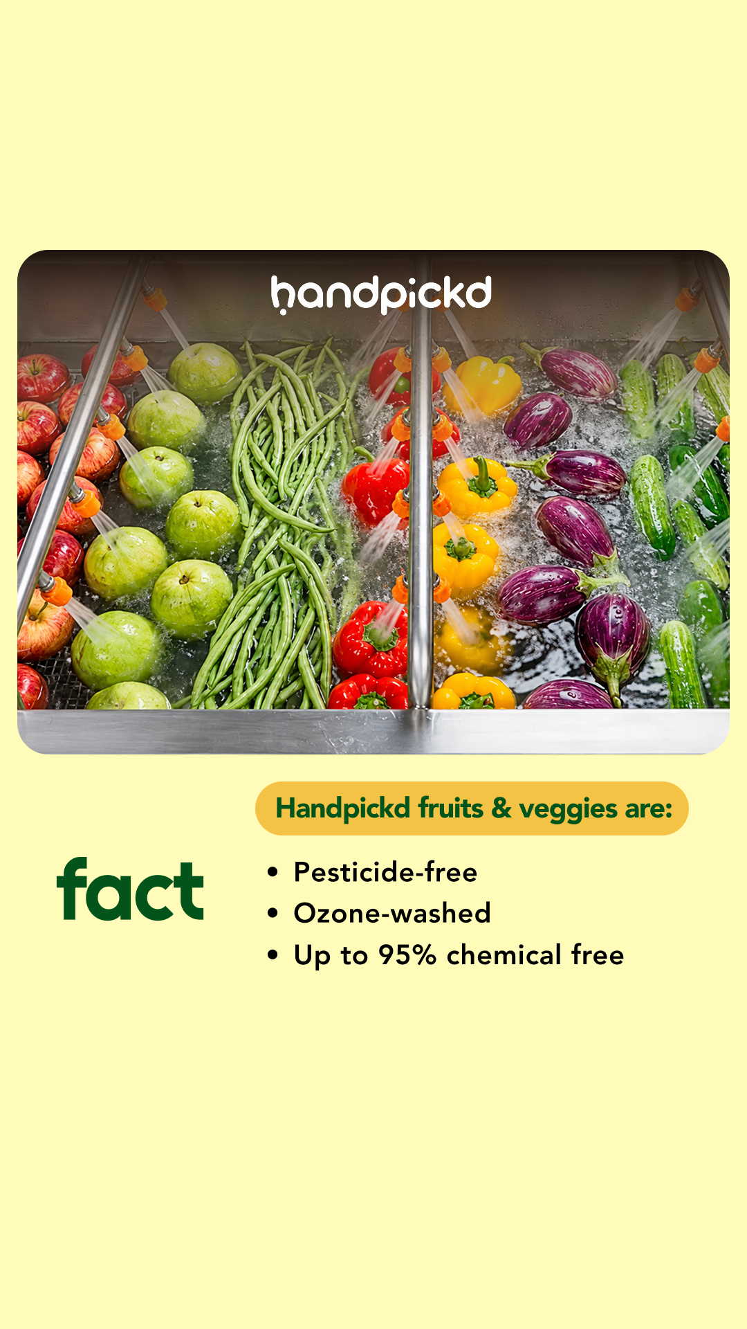 handpickd Meta ad: myth versus fact -- are your fruits really clean after one wash?